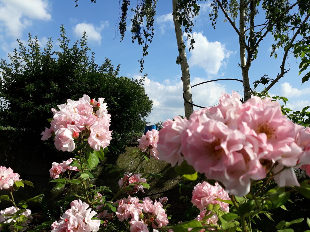 Hotel Locanda Del Passo Pomposa ภายนอก รูปภาพ